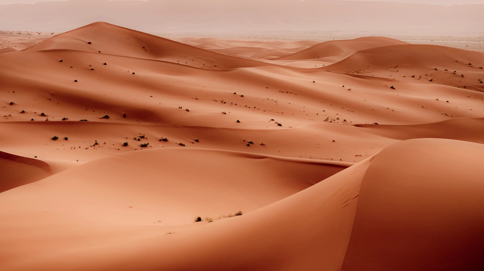 Marathon des Sables coaching